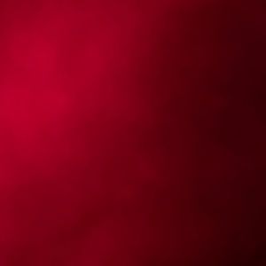 Meet your Posher, Steph